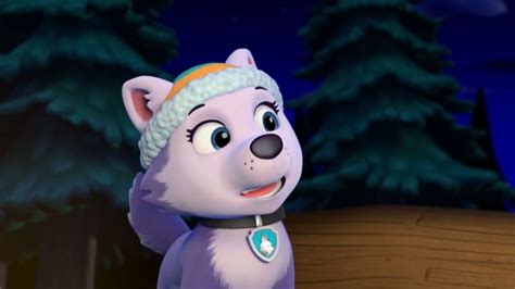 Pin By Ben On Paw Patrol Skye And Everest Skye Paw