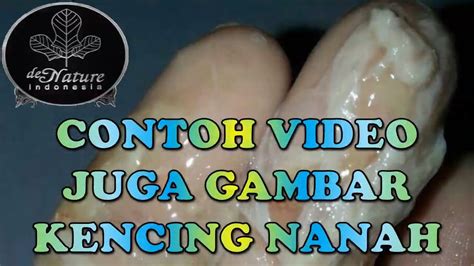 Contoh Video Juga Gambar Kencing Nanah Youtube