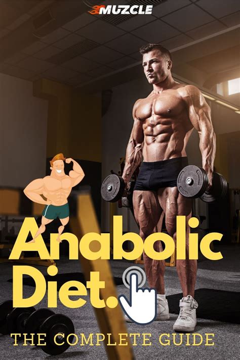 anabolic diet  complete guide  sample meal plan anabolic diet anabolic muscle gain diet