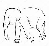 Elefante Colorare Siluetas Siluetta Silhouette Sagoma Dellelefante Vettoriali sketch template