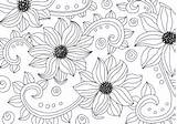 Colouring Flower Adult Swirls sketch template