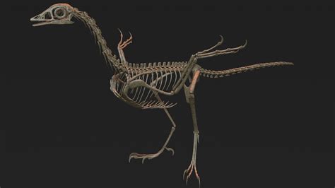 dinosour bones  pterodactyl   printing  elliotracer