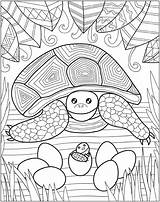 Coloring Zendoodle Baby Animal Macmillan Safari Book sketch template