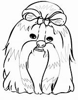 Tzu Shih Coloring Pages Color Dog Dogs Printable Drawing Kids Crayola Animal Grooming Getdrawings Getcolorings Print Animals Sheets Visit Adult sketch template