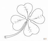 Coloring Clover Leaf Four Pages Printable Drawing sketch template