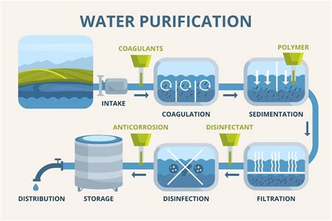 stages  purification process
