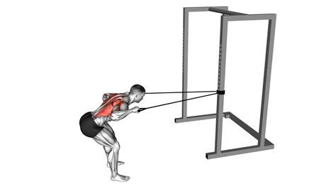 Bent Over Lat Pulldown Ultimate Video Guide And Tips
