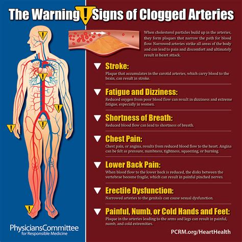warning signs  clogged arteries