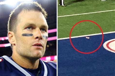 nfl news arrest as sex toy thrown on pitch in new england patriots win