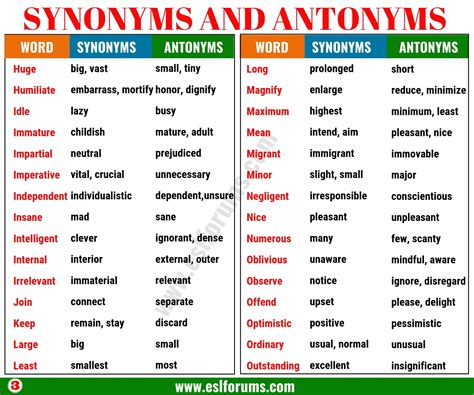 Synonyms And Antonyms
