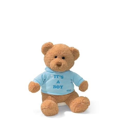 boy teddy bear toy sense