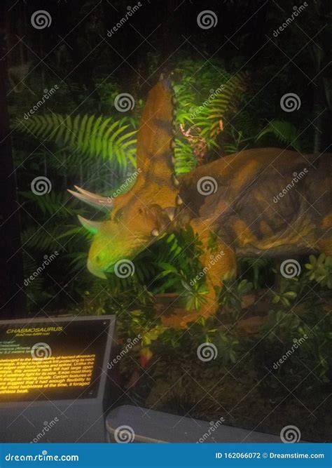 real life  dinosaurs amazing coming    editorial