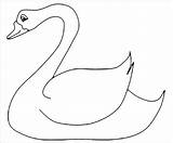 Cigno Animali Disegni Coloradisegni Kindergarten Coloringbay sketch template