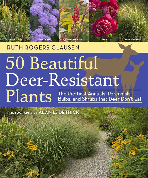 deer resistant plants   garden gardening mother earth living