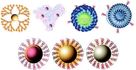 nanoparticles   applications  cell  molecular biology