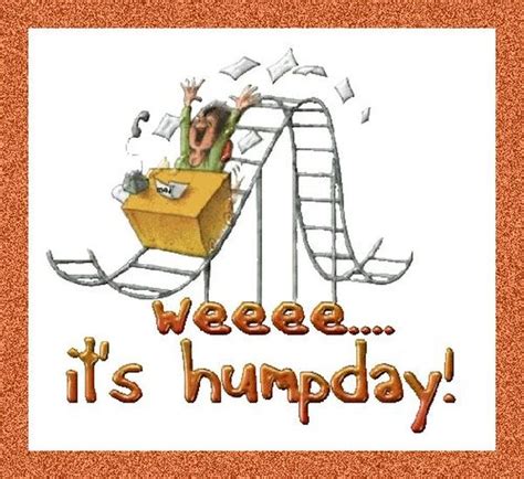 Happy Hump Day Meme Images Humor And Funny Pics