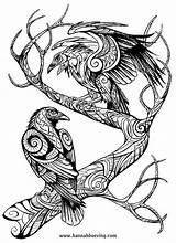 Tattoo Muninn Huginn Celtic Odin Norse Raven Coloring Viking Drawing Tattoos Drawings Deviantart Ravens Nordic Sketch Benu Odins Ink Symbols sketch template