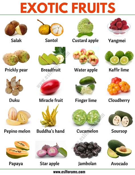 Exotic Fruits List Of 45 Exotic Fruits From All Around