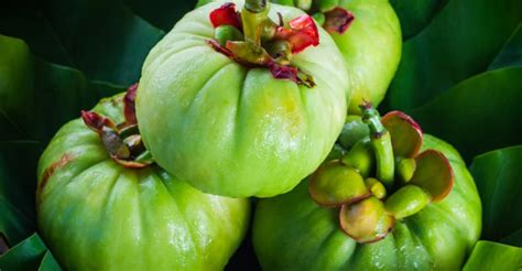 garcinia cambogia dosage how to take and best time to take