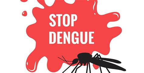 prevent dengue fever   society mortein india