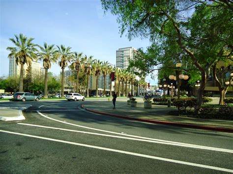 downtown san jose  trees  street  san jose california image  stock photo
