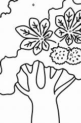 Chestnut Leaves sketch template