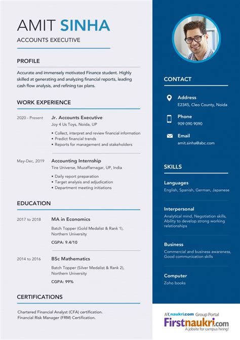 resume format  finance jobs  india resume format job resume