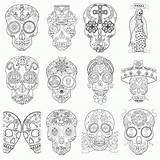 Coloring Skull Pages Sugar Adult Printable Library Clipart Popular Comments sketch template