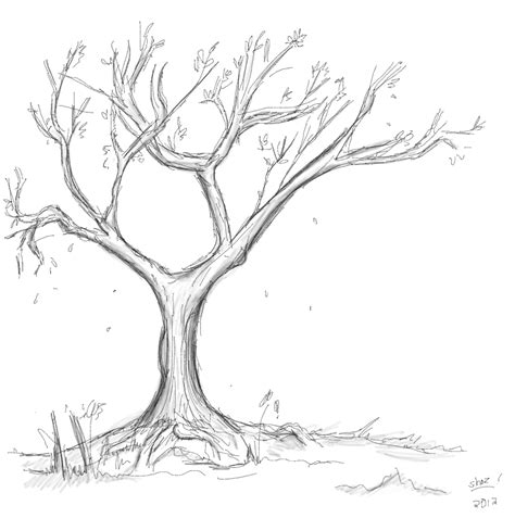 tree sketch  thenobody  deviantart