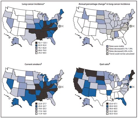 state specific trends in lung cancer incidence and smoking
