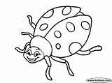 Coloring Pages Bug Lady Printable Ladybug Kids Ladybugs Bugs Drawing Outline Cute Book Sheets Books Butterflies Spiders Getdrawings sketch template
