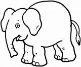 Clipart Elephants Kids Elephant Colouring Coloring Color Library sketch template