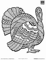 Turkey Coloring Adults Pages Advanced Thanksgiving Template Detailed Printable sketch template