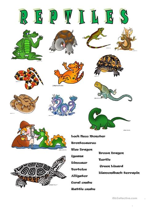 lets talk  reptiles worksheet  esl printable worksheets