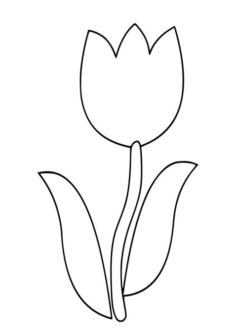 printable tulip coloring pages