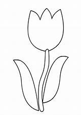 Tulips Colors sketch template