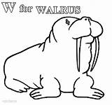 Walrus Coloring Pages Kids Printable Cool2bkids sketch template