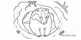 Burrow Badger Ks1 Colouring Eyfs Rgb Animal Pages sketch template
