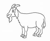 Goat Drawing Clipart Cartoon Draw Kid Clip Paintingvalley Getdrawings Explore Drawings Collection Webstockreview sketch template
