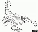 Coloring Pages Scorpion Printable Animals Preschool Kids Color Preschoolcrafts sketch template