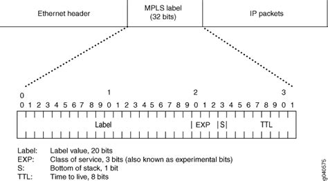 understanding mpls label operations techlibrary juniper networks