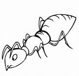 Formiga Pintar Formigas Ants sketch template