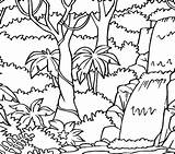Rainforest Coloring Pages Printable Trees Forest Tropical Rain Getcolorings Getdrawings Colouring Print Colorings sketch template