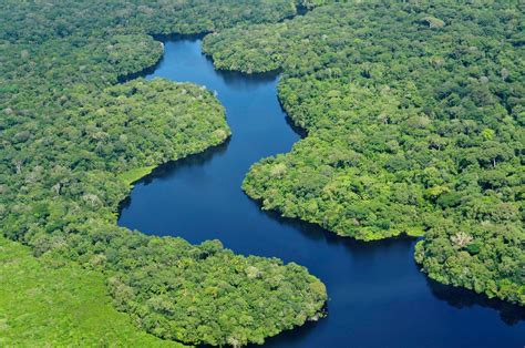 amazon rainforest   brazil   brazil