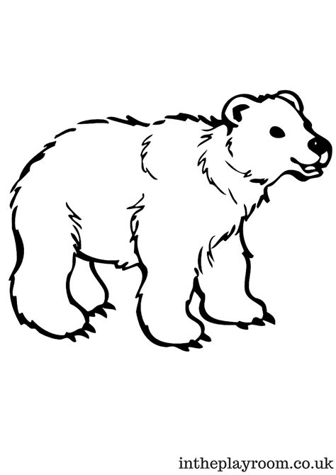 arctic animals colouring pages   playroom