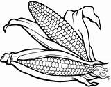 Coloring Pages Corns Printable Two Corn Cute Fun Real Kids sketch template