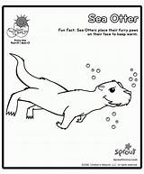 Coloring Otter Otters Unto Pages Sheet Template Books Comments Categories Similar sketch template