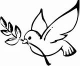 Dove Coloring Peace Printable Pages Nativity Clipart Sign Line Drawing sketch template