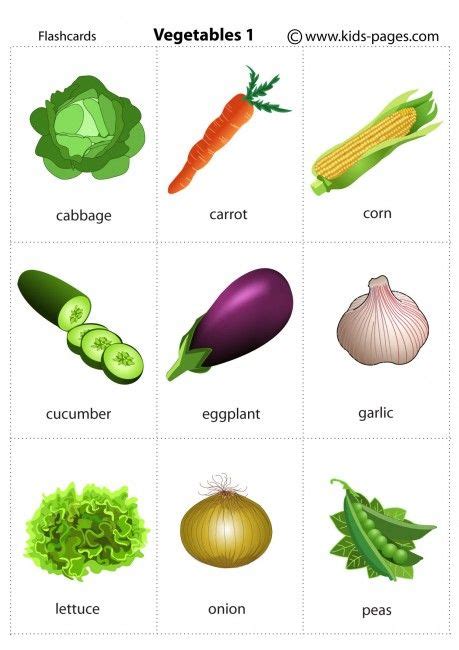 vegetable images  kids    clipartmag