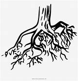 Raices Rooted Frisco Celina Pngkit Pinclipart Benda Baamboozle Aku Jing Clipartkey Vippng sketch template